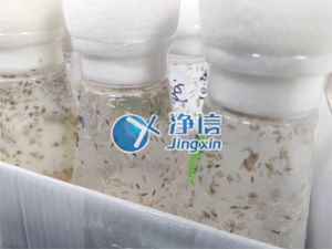 净信组织研磨仪 果蝇研磨实验